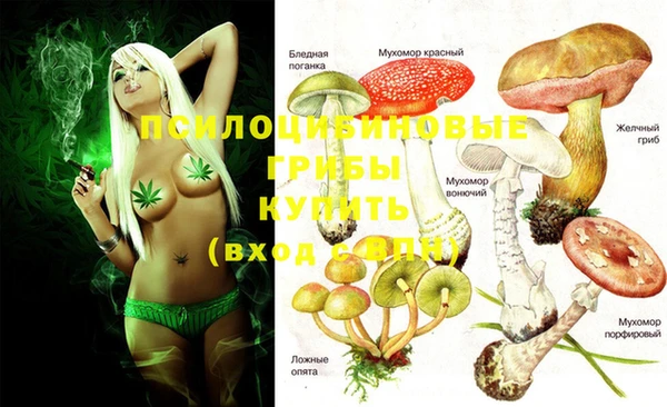 спиды Абдулино