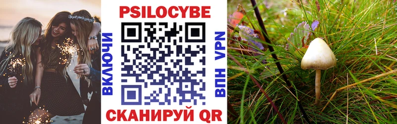 закладки  Советская Гавань  Галлюциногенные грибы Psilocybine cubensis 
